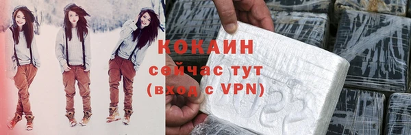 прущие грибы Касимов
