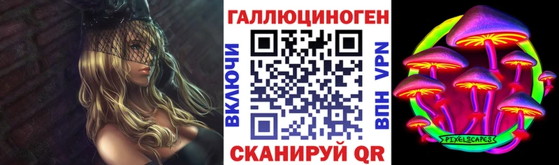 Купить  Сегежа  Галлюциногенные грибы Psilocybe 